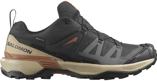 Salomon X Ultra 360 Gore-Tex Men's Shoe